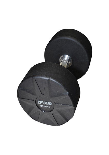 Fitness Pu Dumbell 2,5 kg