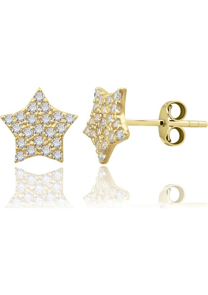 Yıldız Altın Küpe