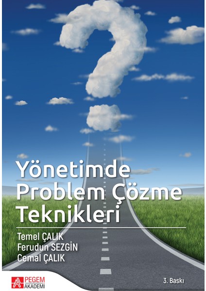 Yönetimde Problem Çözme