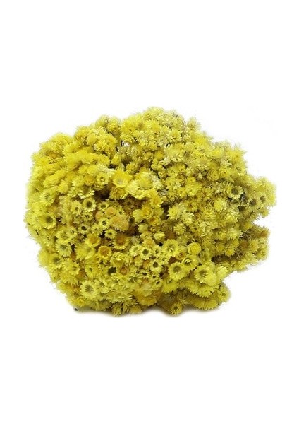 Altın Otu fiyatları