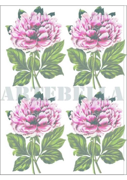Artebella 1280K Küçük Kolay Transfer 17x24 cm (Koyu Zeminde Uygulanır,)