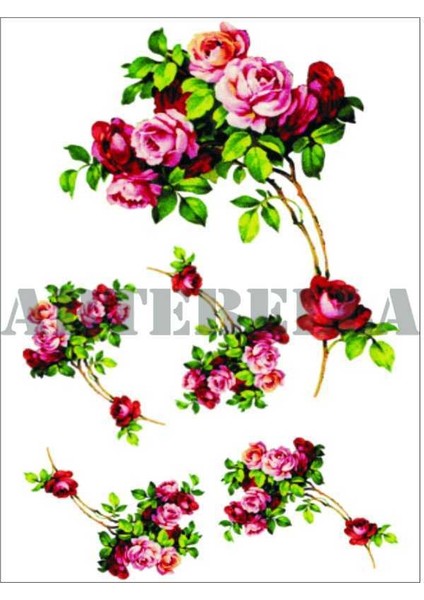 Artebella 1347V Büyük Kolay Transfer 23x34 (Açık Zeminde Uygulanır)