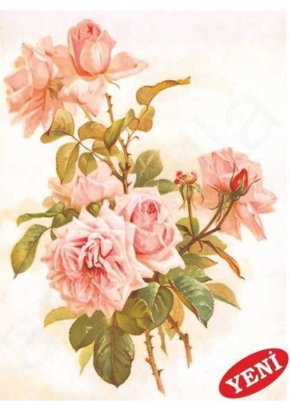 Artebella 1430V Büyük Kolay Transfer 23x34 (Açık Zeminde Uygulanır)