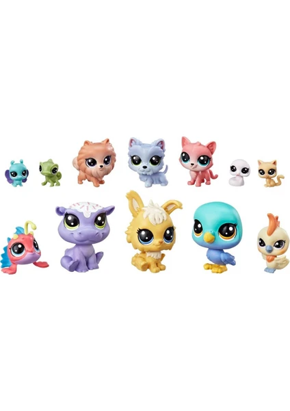 Littlest Pet Shop Miniş Koleksiyoner Seti E3034- E2072