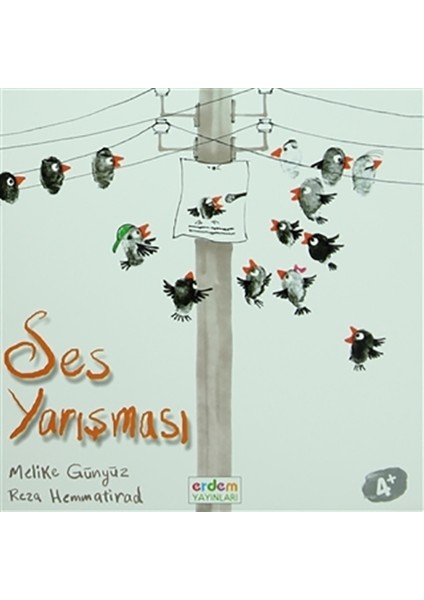 Ses Yarışması