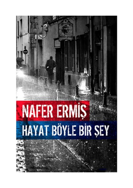 Hayat Böyle Bir Şey - Nafer Ermiş