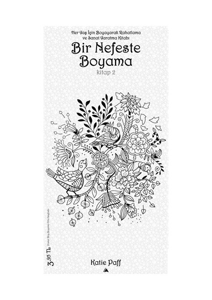 Bir Nefeste Boyama - Kitap 2-Katie Paff