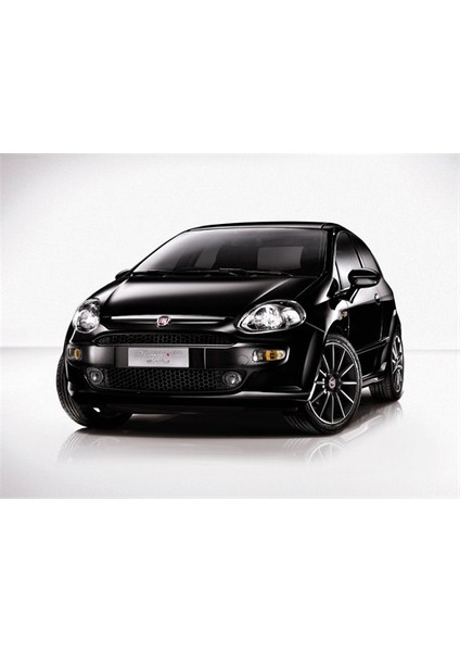 Fiat Punto Evo 2010-2015 Teyp Çerçevesi fırsatları