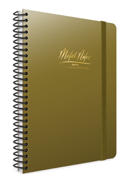 Metal Notes Spiralli Plastik Kapak 17X24 80 Yp. Kareli Defter