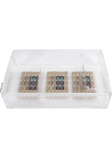 Akrilik Humidor Puro Kutusu