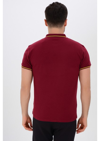 Tyron Erkek Pamuklu Polo T-Shirt Beta fiyatları