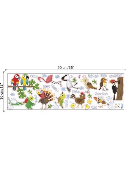 Birds Names Kuş Adları İngilizce Montessori Sticker modelleri