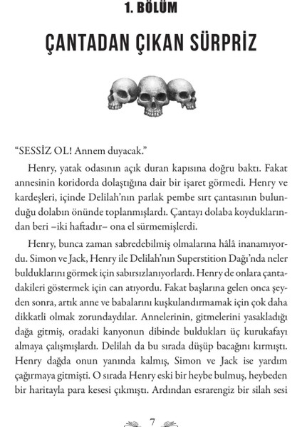Yasak Dağdaki Hazine - Elise Broach