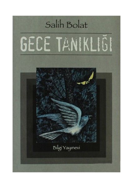 Gece Tanıklığı - Salih Bolat