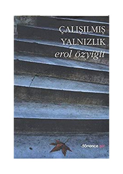 Çalışılmış Yalnızlık-Erol Özyiğit