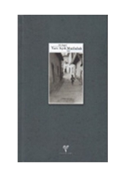 Yarı Açık Mutluluk-Ali Asgar