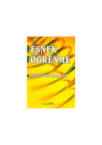Esnek Öğrenme