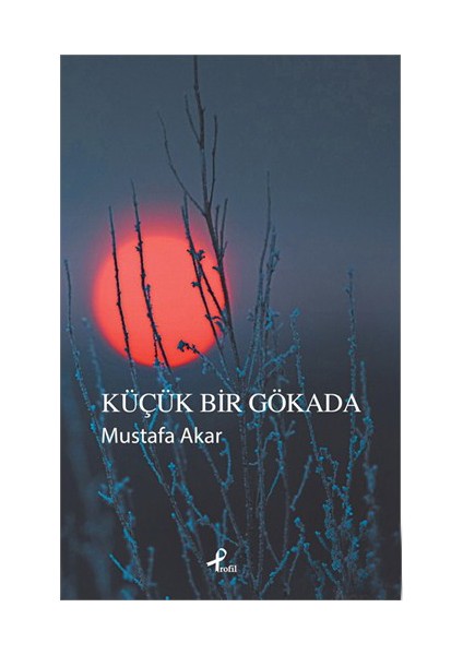 Küçük Bir Gökada - Mustafa Akar