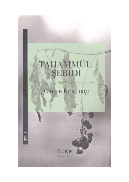 Tahammül Şeridi-Cafer Keklikçi