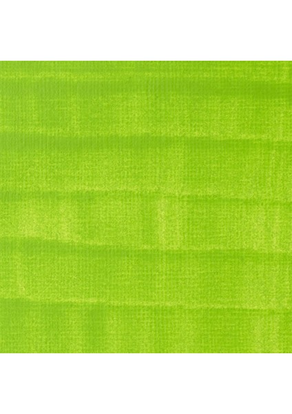 Profesyonel Akrilik Kalem 2-4Mm Vivid Lime Green fiyatları