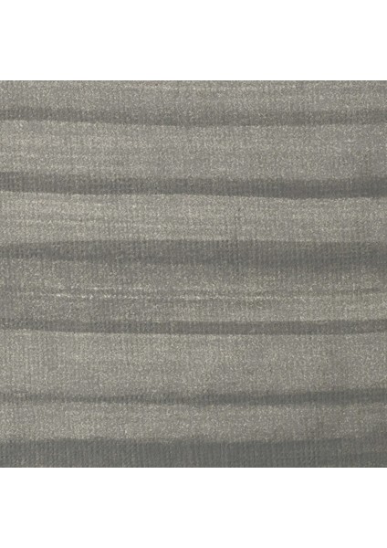 Profesyonel Akrilik Kalem 2-4Mm Neutral Gray 5 fiyatları