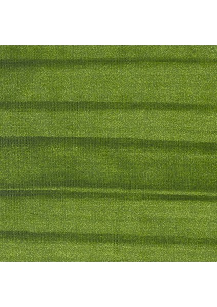 Profesyonel Akrilik Kalem 2-4Mm Hookers Green fiyatları