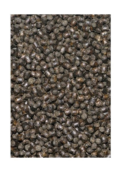 cichlid Omni Pellets Sm - 200 Gr. 1 mm. Çiklit Balığı Yemi fiyatları