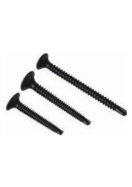 Meri̇dyen 3.5x35 mm Alçıpan Vidası Akıllı Matkap Uçlu 10'lu