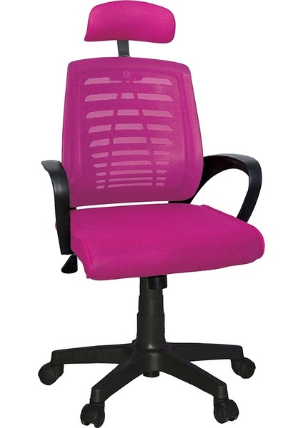 Karizma File Müdür Koltuk Plastik Ayak Mavi