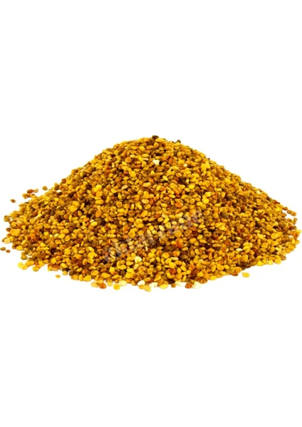 Medeniyet Baharat Polen Dökme 100 gr.