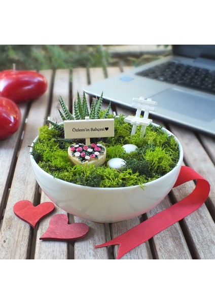 Doğum Günü İçin Minyatür Teraryum - Luna Koleksiyonu