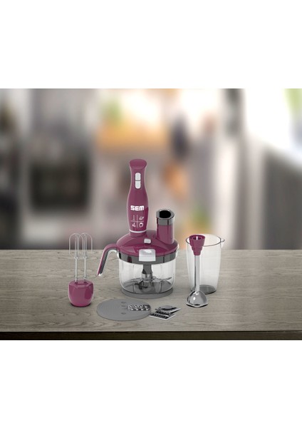 Problade Sk 234 Blender Set