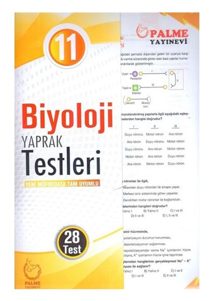 11 Sınıf Biyoloji Yaprak Test