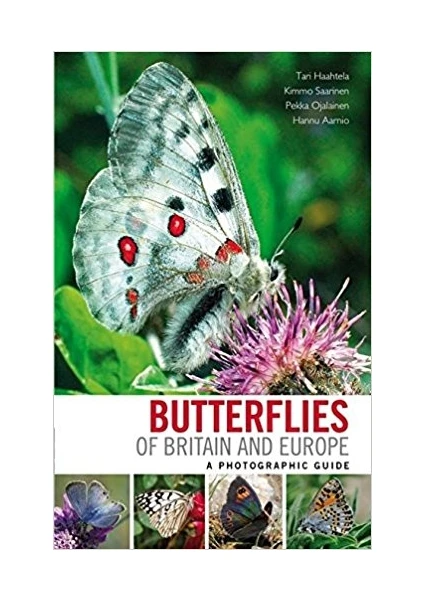 Butterflies Of Europe