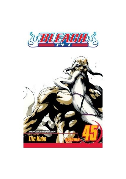 Bleach 45