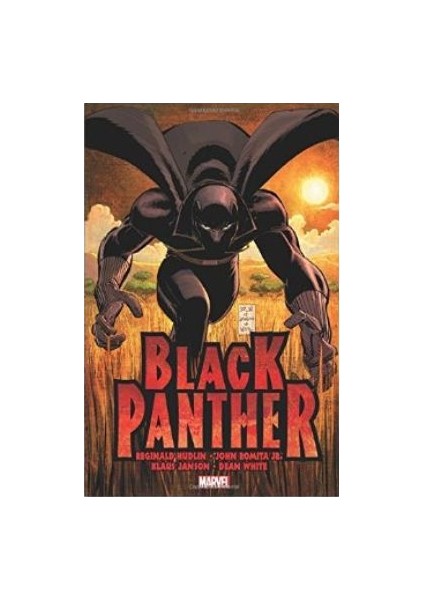 Who İs Black Panther