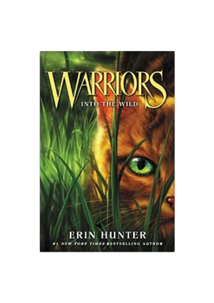 Warriors 1: Into The Wild