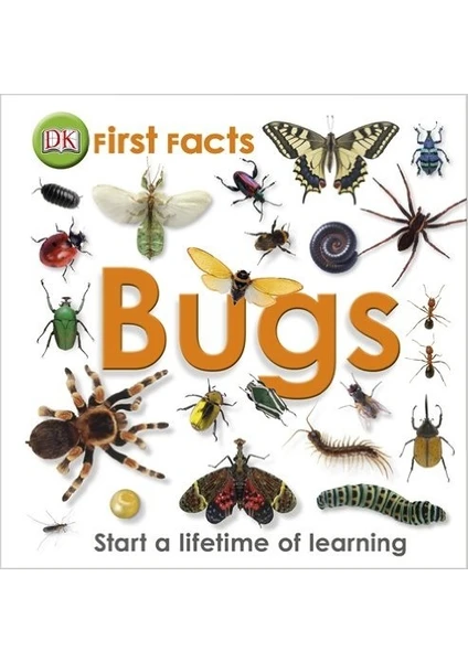 First Facts: Bugs