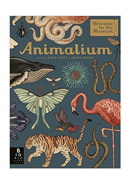 Animalium