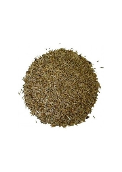 Çim Tohumu 1 kg