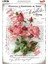 6336 Vintage Kolay Transfer 23x33 cm 1