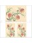 936 Artebella Soft Transfer (Koyu Zeminde Uygulanır-23x34 cm) 1
