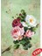Artebella 1427V Büyük Kolay Transfer 23x34 (Açık Zeminde Uygulanır) 1