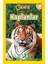 National Geographic Kids - Kaplanlar-Laura Marsh 1