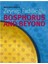 The Interior Design of ZEYNEP FADILLIOGLU Bosphours and Beyond 1