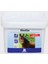 Biotin 1
