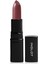 Lipsatin Lipstick 301 1