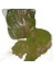 Kuru Bitki Yosun Pk 1 Kg. 1