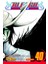 Bleach 40 1