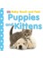 Puppies And Kittens (Baby Touch And Feel Book) 1